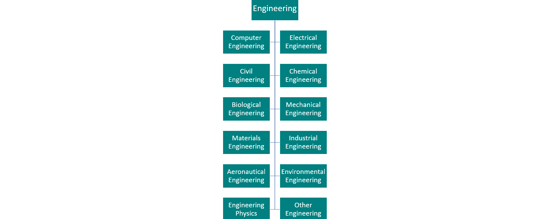 Engineering majors list