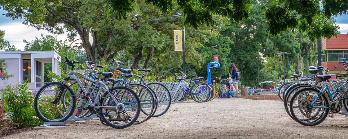 <a href="https://commons.wikimedia.org/wiki/File:UC_Davis_campus_buildings_and_scenes_(16188061937).jpg" title="via Wikimedia Commons">UC Davis Arboretum and Public Garden</a> / <a href="https://creativecommons.org/licenses/by/2.0">CC BY</a>